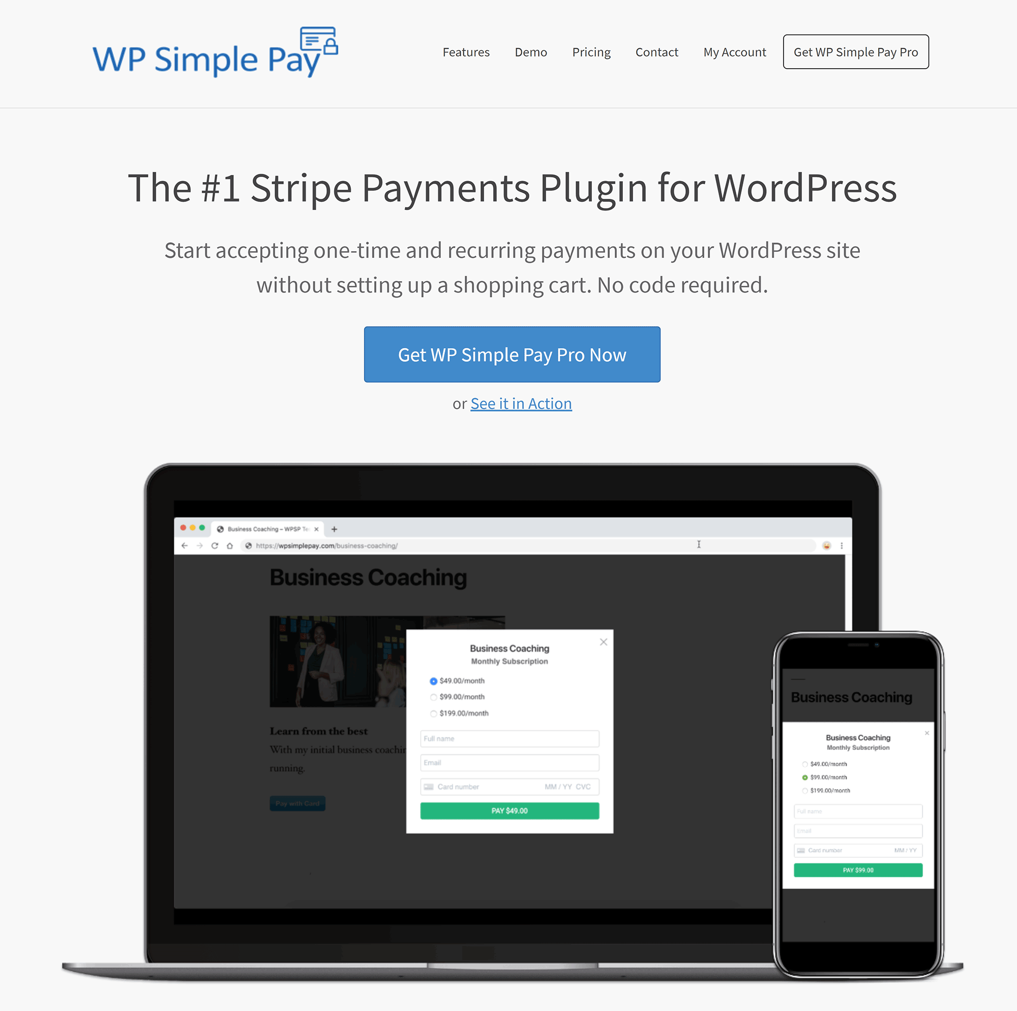 WP Simple Pay Домашняя страница